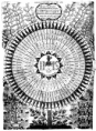 /album/fotogaleria-inicio1/kircher-diagram-of-the-names-of-god-png/